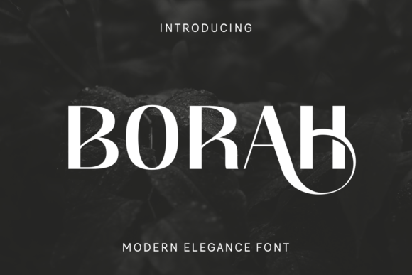 Borah: A Modern Elegance Font